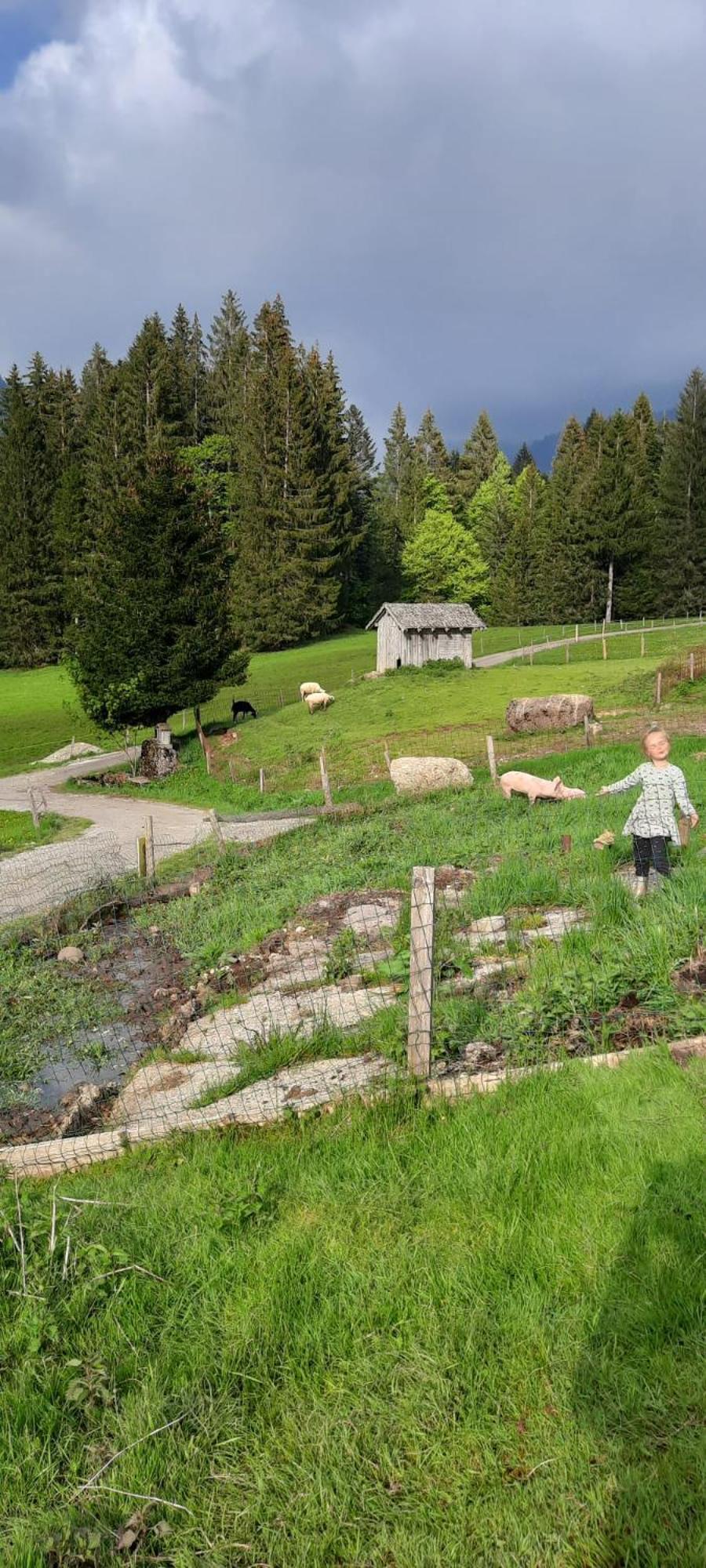 Jausenstation Neuschwand Villa Hittisau Exterior photo