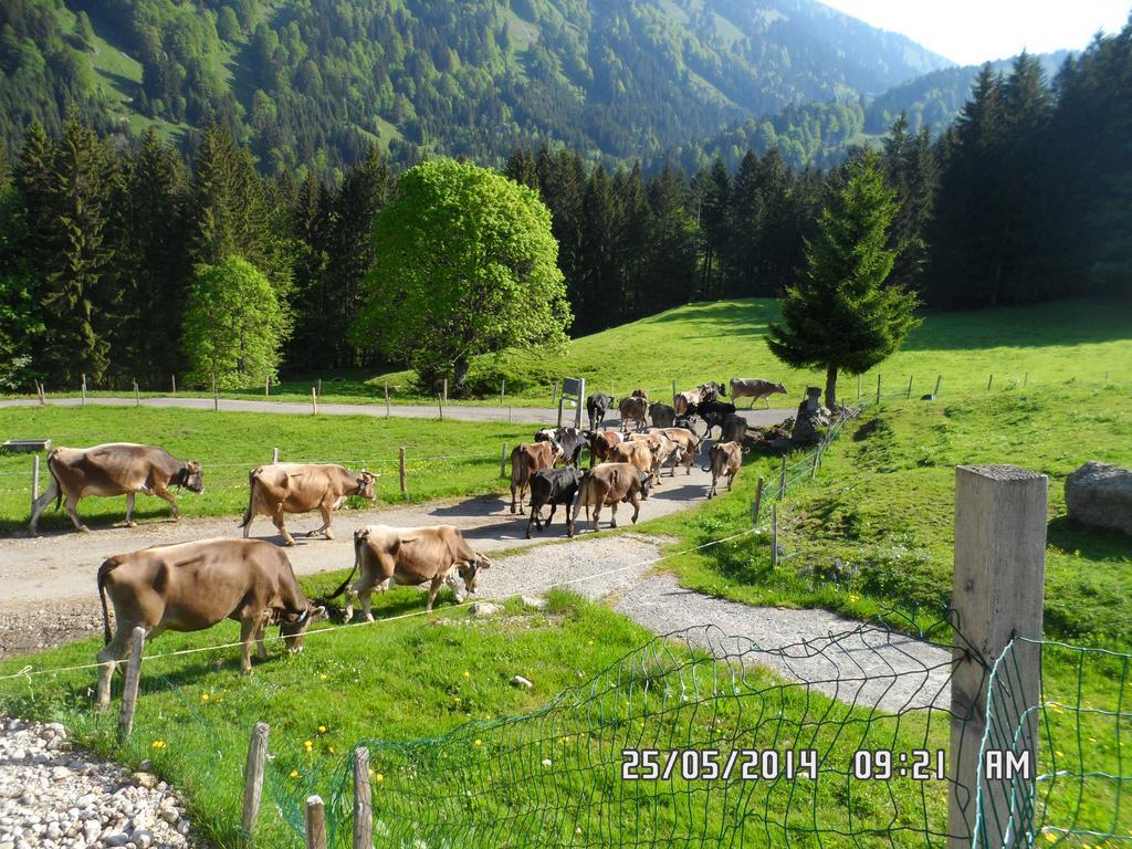 Jausenstation Neuschwand Villa Hittisau Exterior photo