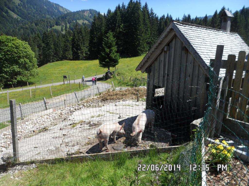 Jausenstation Neuschwand Villa Hittisau Exterior photo